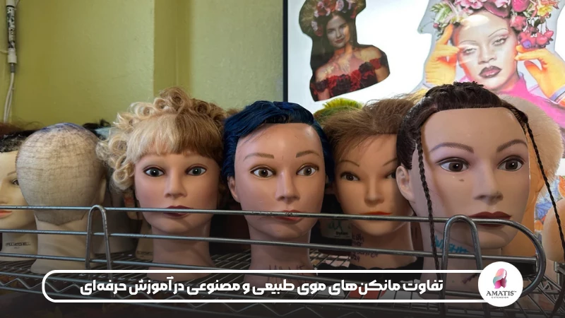 در این مقاله تفاوت کله مانکنها از نظر نوع مو بررسی میشود. مانکنهای موی طبیعی برای تمرین شینیون، رنگ و حرارتدهی مناسبترند، در حالیکه مدلهای موی مصنوعی برای تمرینهای اولیه یا آموزشهای کوتاهمدت کاربرد دارند.