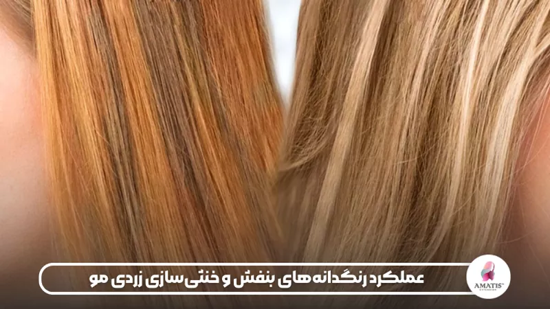 شامپو سیلور کالر فریز BC CP ColorF Silver؛ محصولی حاوی رنگدانه‌های بنفش برای خنثی‌سازی زردی و حفظ زیبایی رنگ موهای روشن.