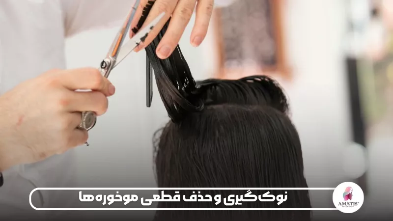 اهمیت نوکگیری منظم مو برای حذف موخوره، جلوگیری از گسترش آسیب و حفظ ظاهر سالم، مرتب و یکدست ساقه مو